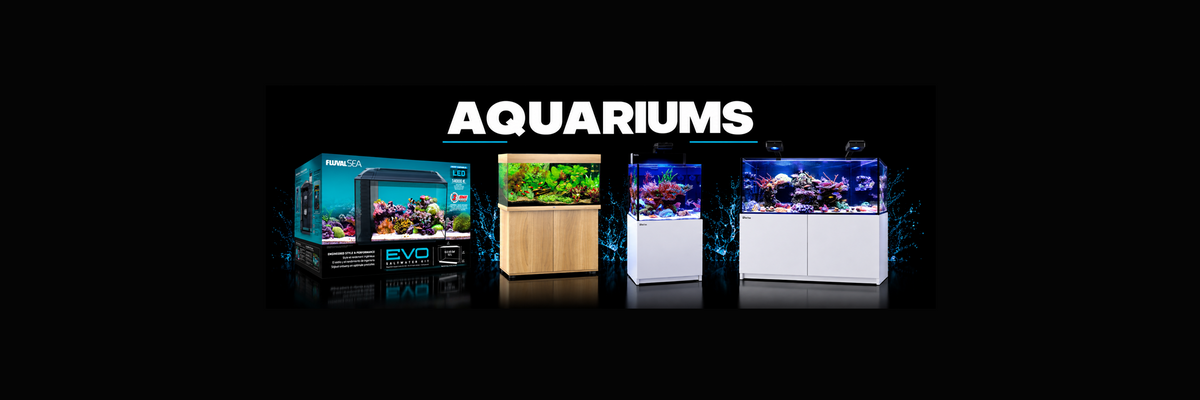 Aquariums