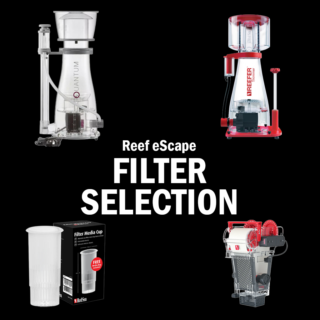 Dry Goods - Filters