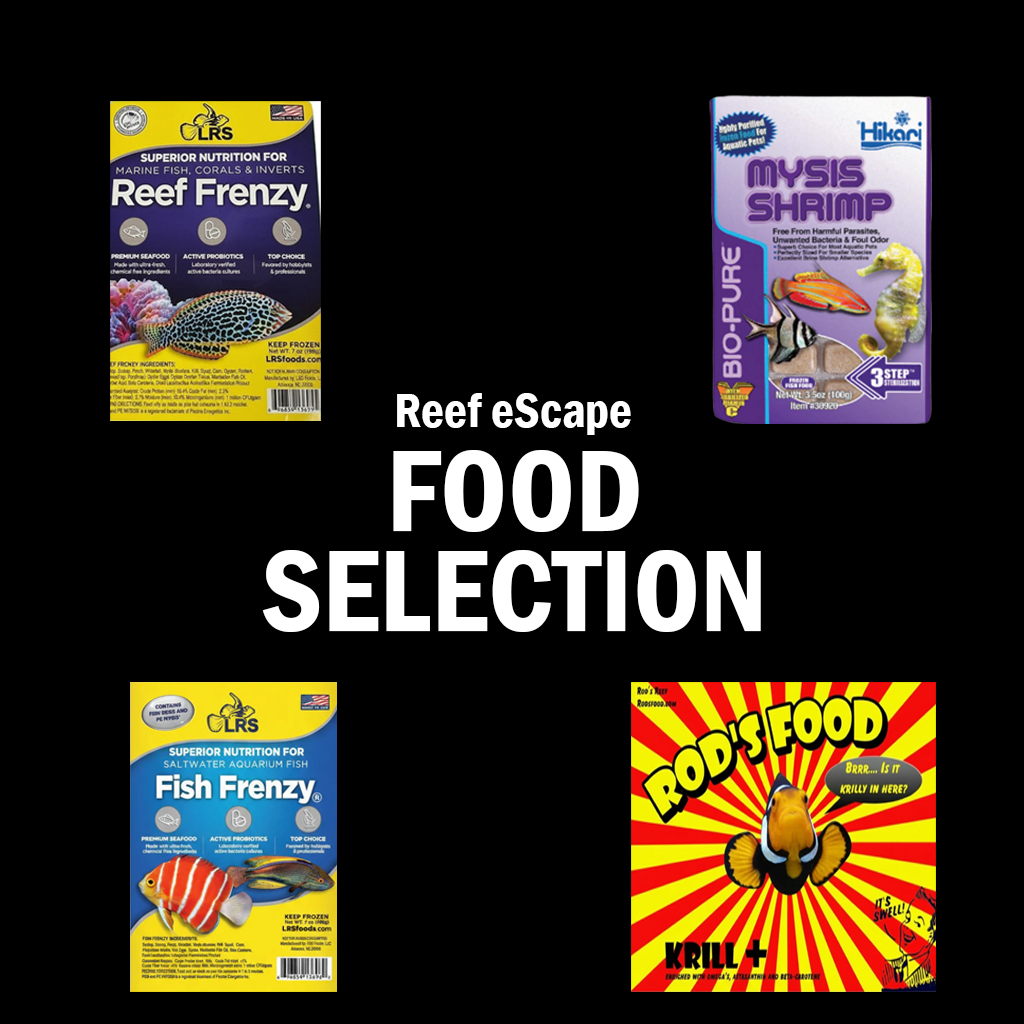 Dry Goods - Food (Frozen & Dry)