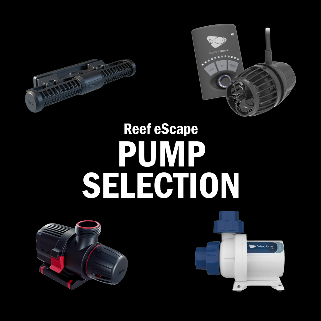 Pumps (Return, Circulation & Specialty)