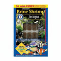 SF Baby Brine Cube 1.75 oz