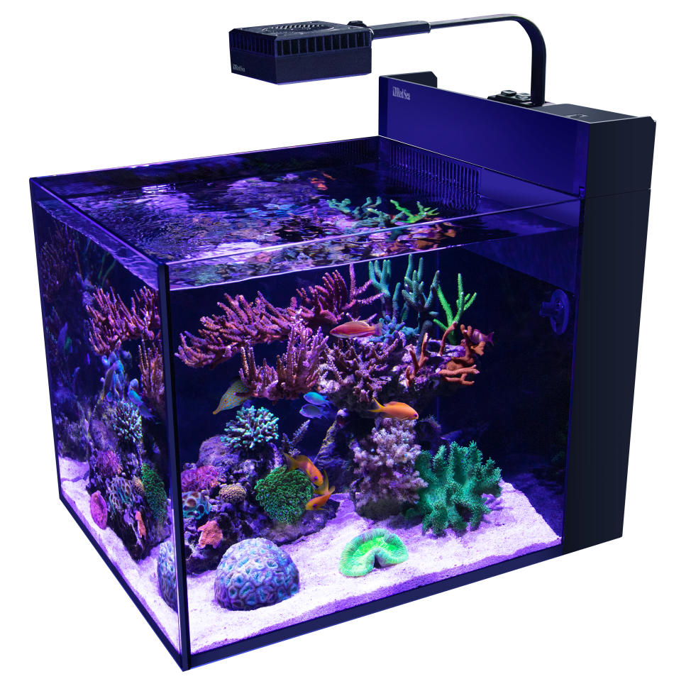 Max Nano G2 Peninsula - Black
