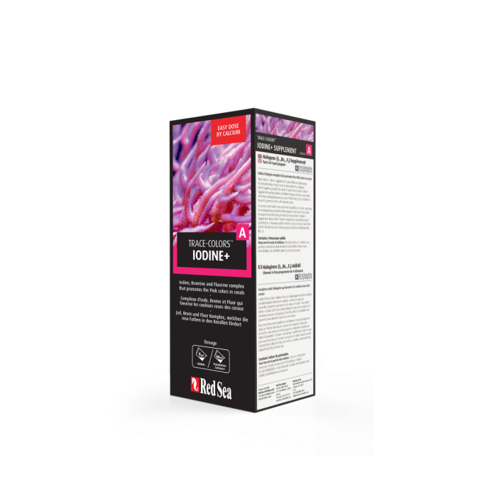 Red Sea Coral Colors A