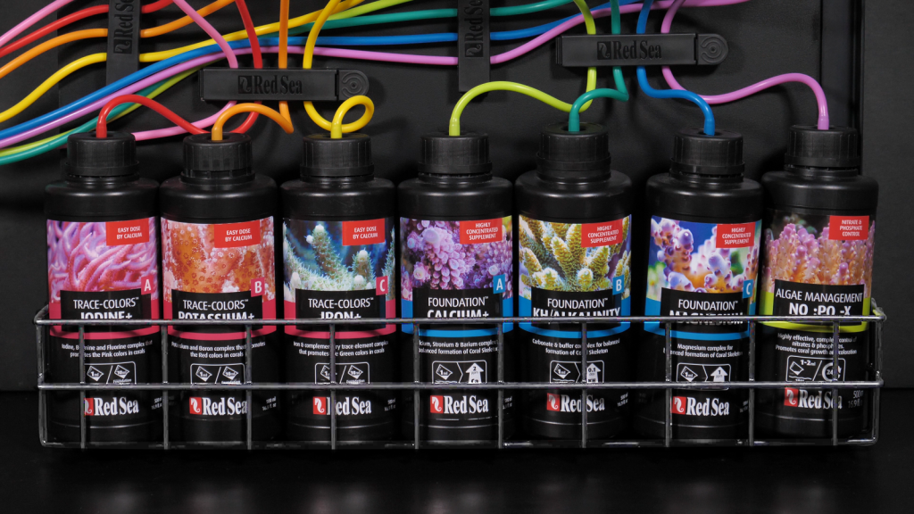 Red Sea Utility Basket