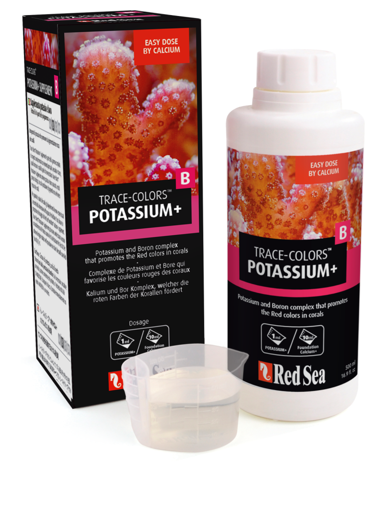 Red Sea Coral Colors B