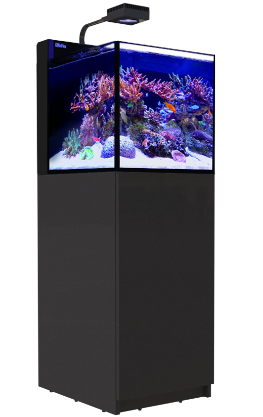 Max Nano G2 Peninsula - Black