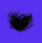 Tube Anemone (Non Colored / Colored)