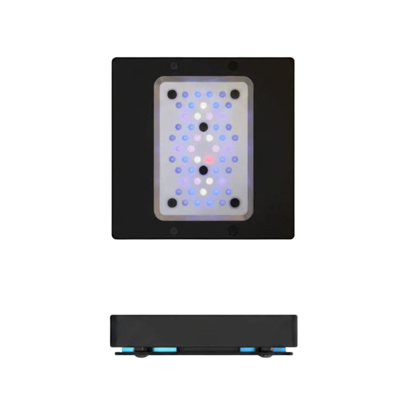 Radion XR15 G6 Blue
