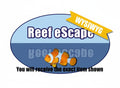 WYSIWYG Coral REAW33