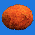 Orange Ball Sponge