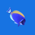 Powder Blue Tang- Large