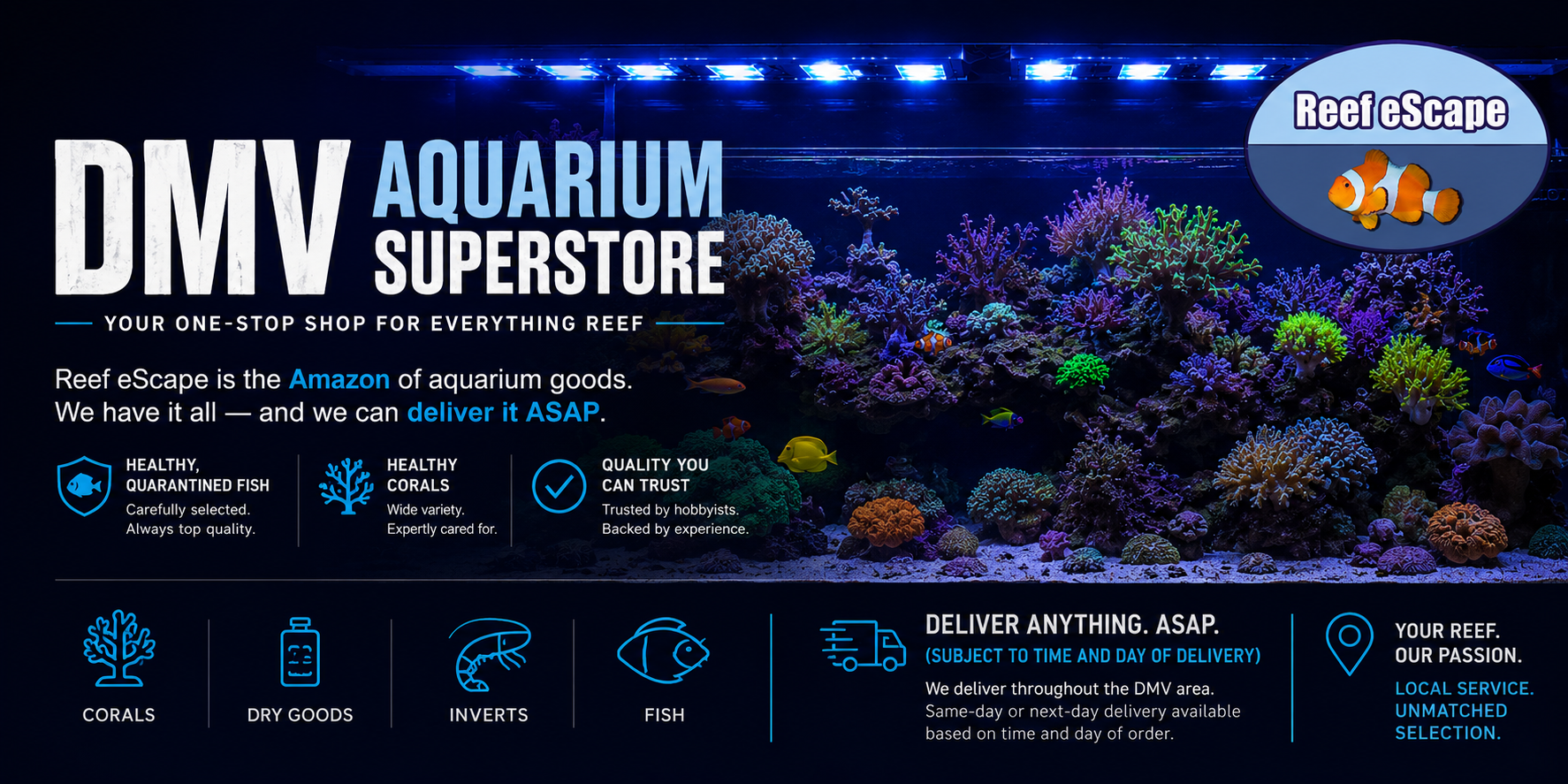 DMV Aquarium Superstore, your one-stop shop for everything reef. Corals, Dry Goods, Inverts, Fish.
