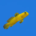 Watchman - Yellow M