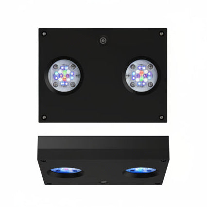 AI Hydra 32HD Black