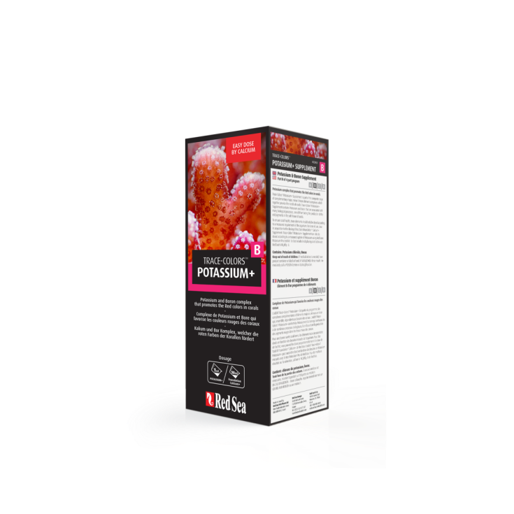 Red Sea Coral Colors B